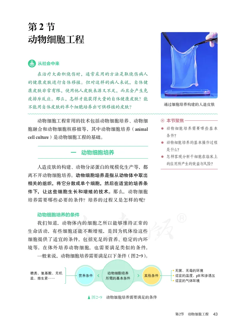 高中选修三生物_教资初高中_教资面试2025教资面试备考资料合集_教资面试资料合集_3、教资面试资料包大全_45大圣中小幼面试资料包_高中_生物_高中生物电子课本