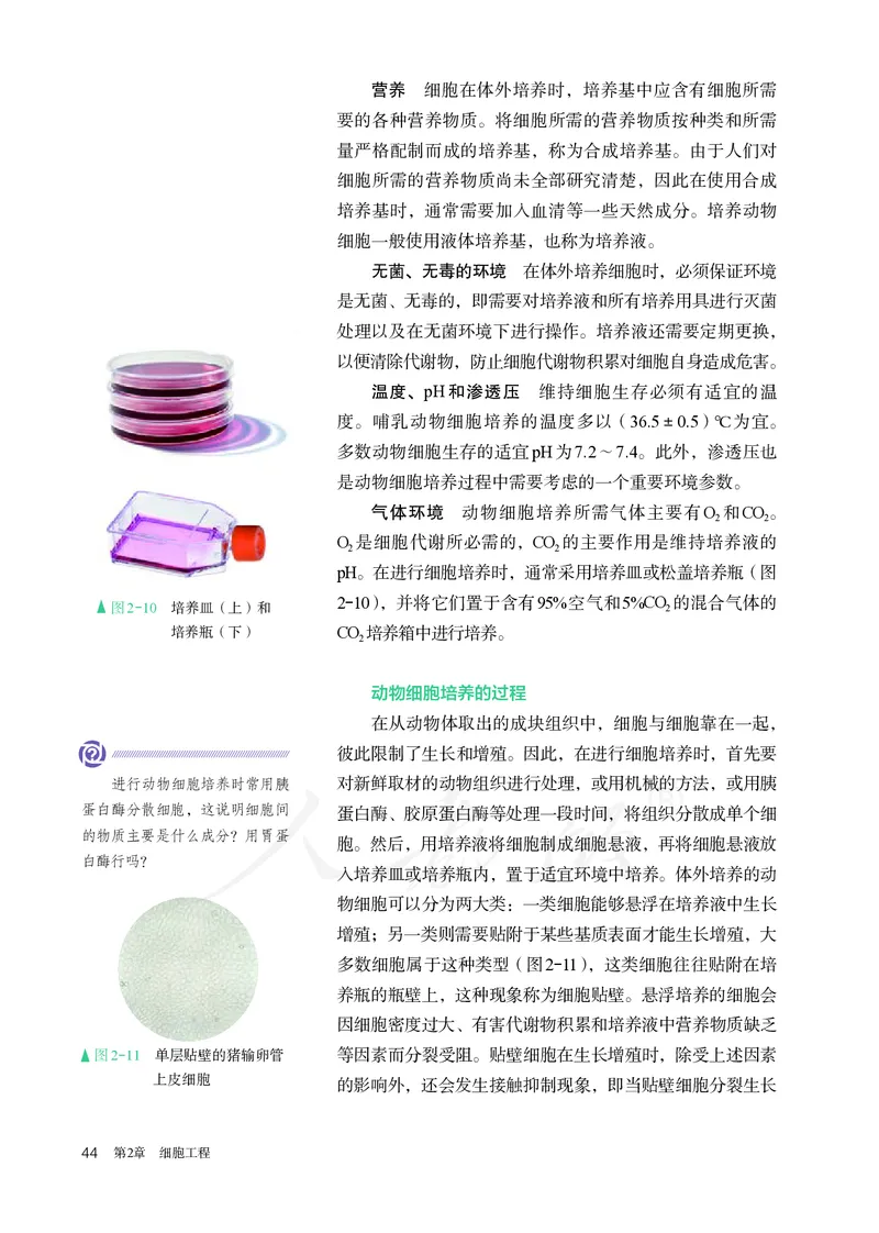 高中选修三生物_教资初高中_教资面试2025教资面试备考资料合集_教资面试资料合集_3、教资面试资料包大全_45大圣中小幼面试资料包_高中_生物_高中生物电子课本