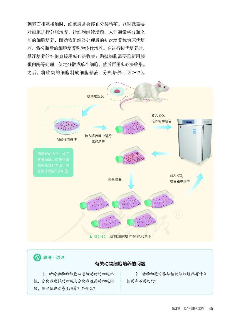 高中选修三生物_教资初高中_教资面试2025教资面试备考资料合集_教资面试资料合集_3、教资面试资料包大全_45大圣中小幼面试资料包_高中_生物_高中生物电子课本