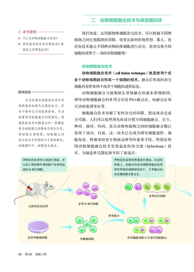 高中选修三生物_教资初高中_教资面试2025教资面试备考资料合集_教资面试资料合集_3、教资面试资料包大全_45大圣中小幼面试资料包_高中_生物_高中生物电子课本