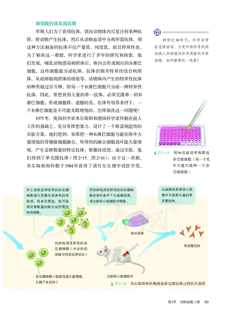 高中选修三生物_教资初高中_教资面试2025教资面试备考资料合集_教资面试资料合集_3、教资面试资料包大全_45大圣中小幼面试资料包_高中_生物_高中生物电子课本