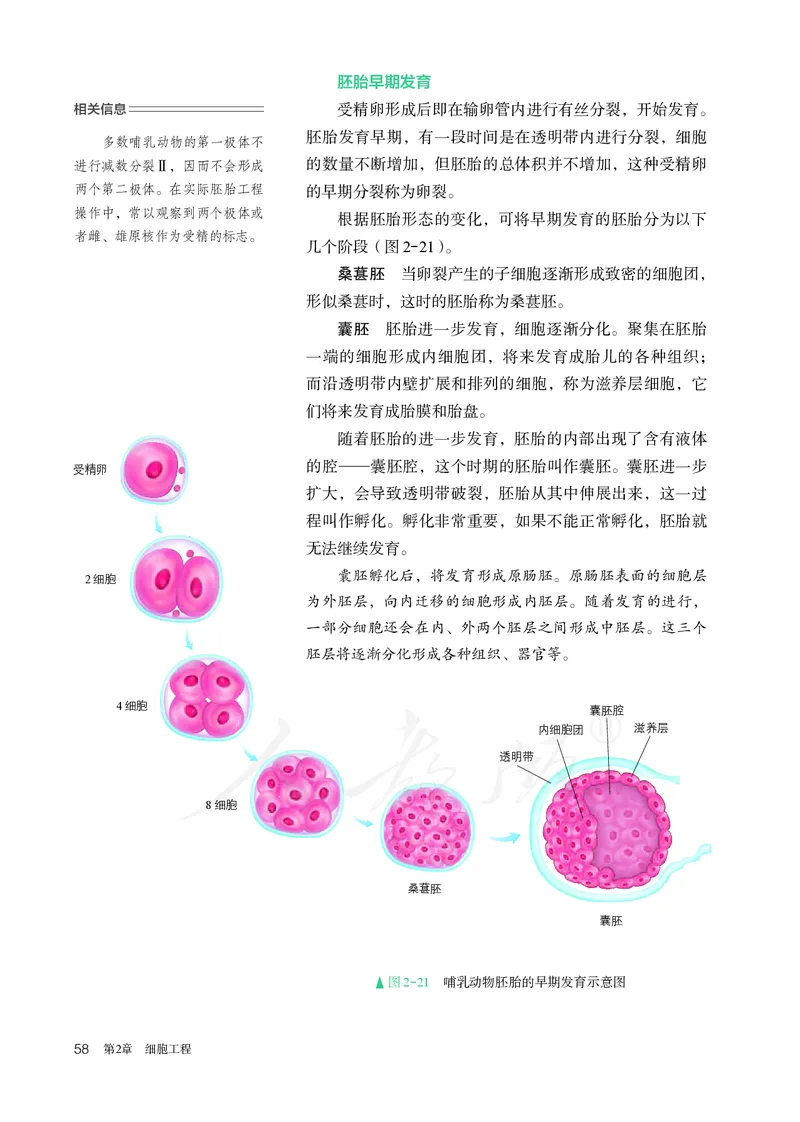 高中选修三生物_教资初高中_教资面试2025教资面试备考资料合集_教资面试资料合集_3、教资面试资料包大全_45大圣中小幼面试资料包_高中_生物_高中生物电子课本