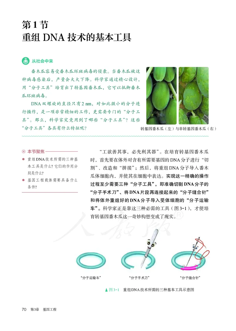 高中选修三生物_教资初高中_教资面试2025教资面试备考资料合集_教资面试资料合集_3、教资面试资料包大全_45大圣中小幼面试资料包_高中_生物_高中生物电子课本