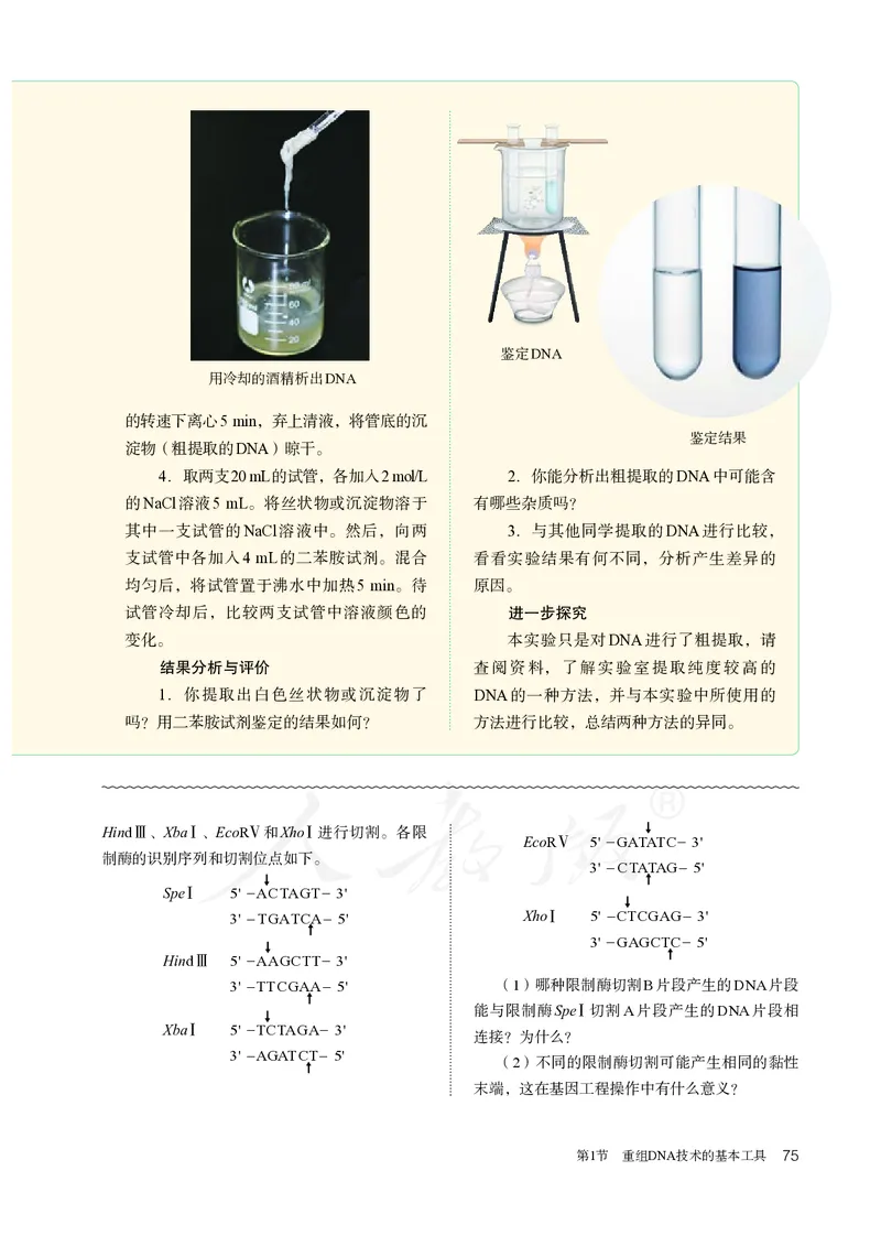 高中选修三生物_教资初高中_教资面试2025教资面试备考资料合集_教资面试资料合集_3、教资面试资料包大全_45大圣中小幼面试资料包_高中_生物_高中生物电子课本