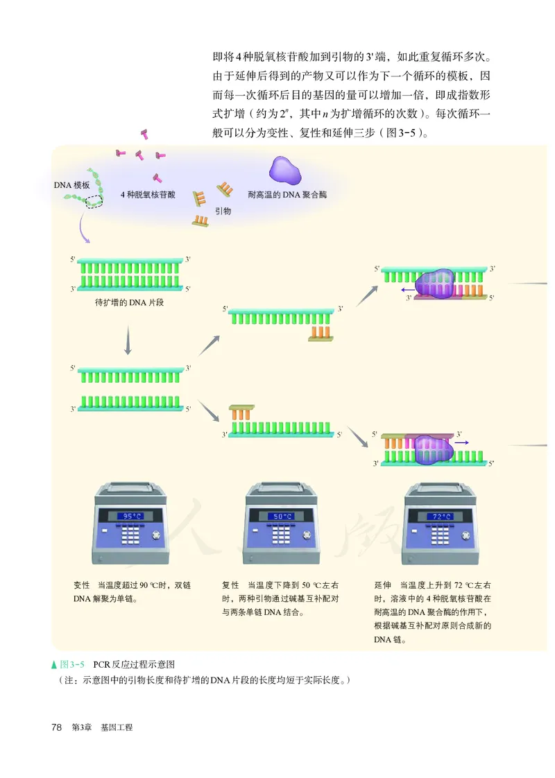 高中选修三生物_教资初高中_教资面试2025教资面试备考资料合集_教资面试资料合集_3、教资面试资料包大全_45大圣中小幼面试资料包_高中_生物_高中生物电子课本
