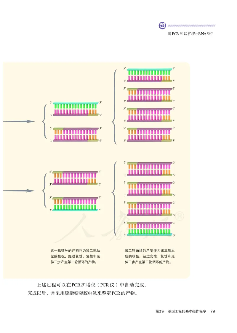 高中选修三生物_教资初高中_教资面试2025教资面试备考资料合集_教资面试资料合集_3、教资面试资料包大全_45大圣中小幼面试资料包_高中_生物_高中生物电子课本