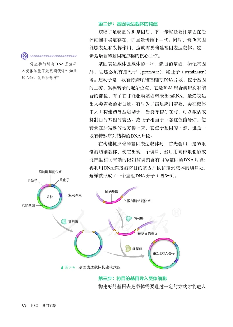 高中选修三生物_教资初高中_教资面试2025教资面试备考资料合集_教资面试资料合集_3、教资面试资料包大全_45大圣中小幼面试资料包_高中_生物_高中生物电子课本