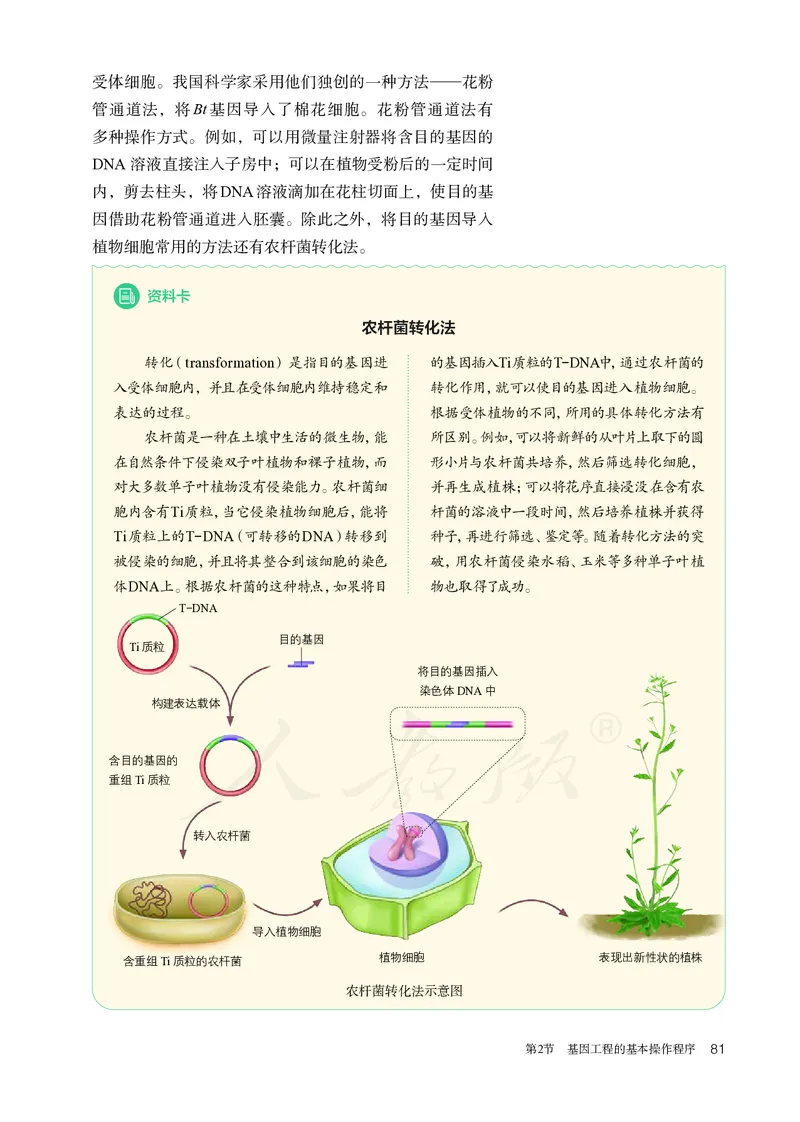 高中选修三生物_教资初高中_教资面试2025教资面试备考资料合集_教资面试资料合集_3、教资面试资料包大全_45大圣中小幼面试资料包_高中_生物_高中生物电子课本
