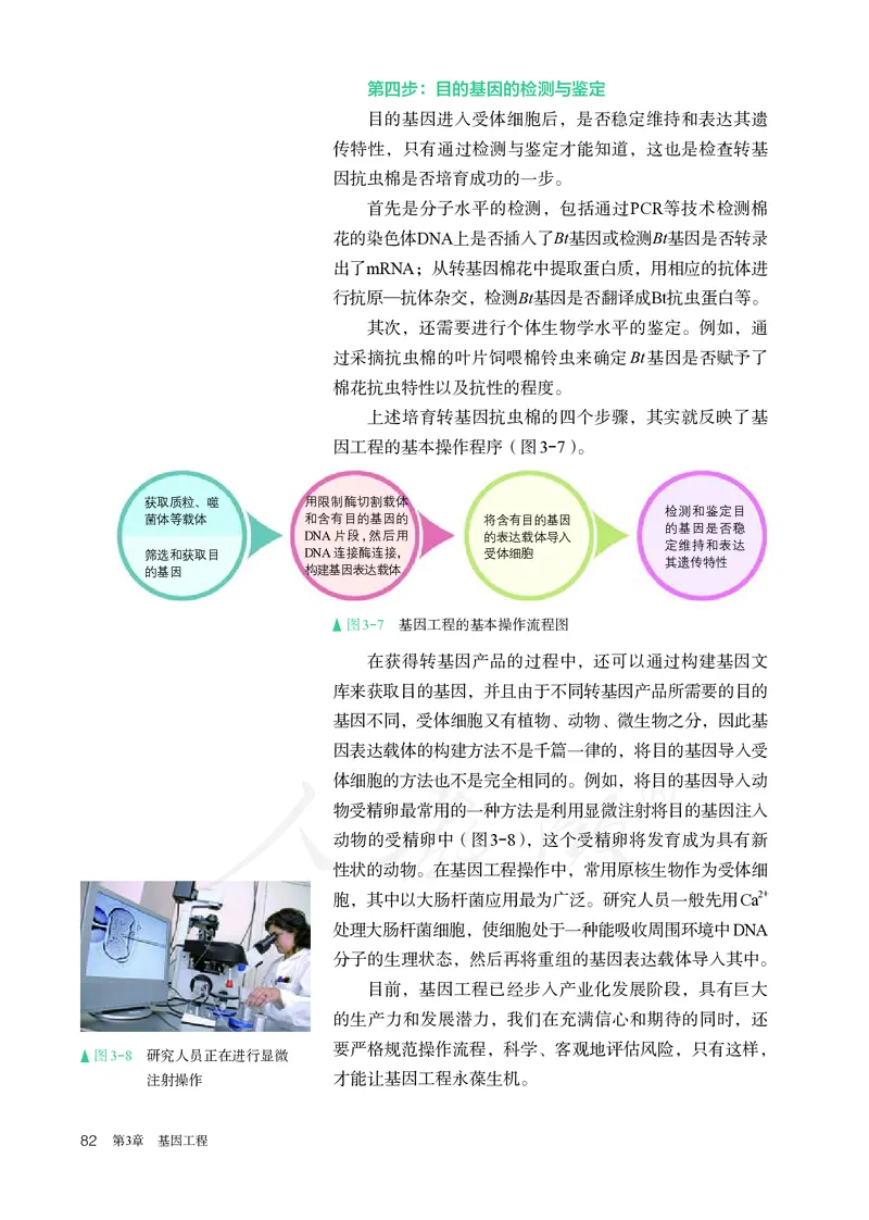 高中选修三生物_教资初高中_教资面试2025教资面试备考资料合集_教资面试资料合集_3、教资面试资料包大全_45大圣中小幼面试资料包_高中_生物_高中生物电子课本