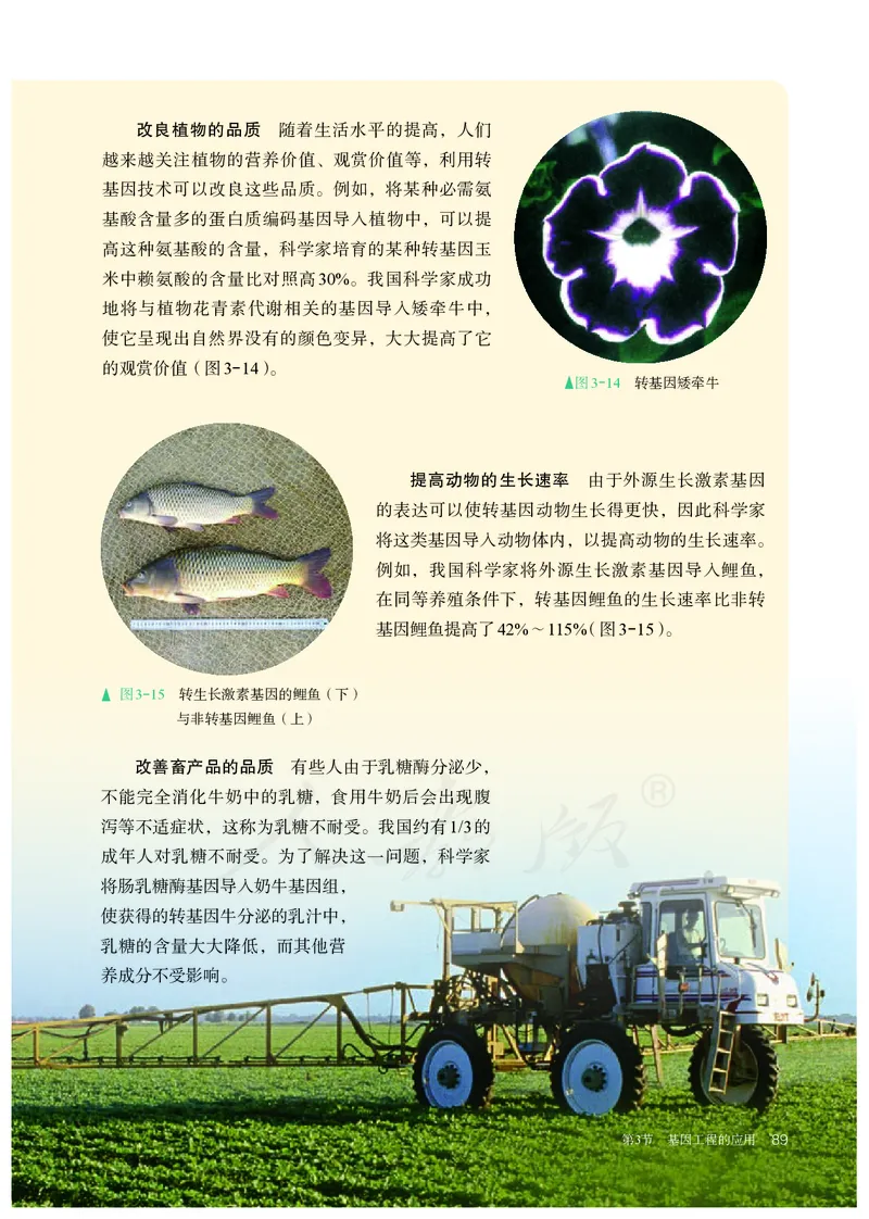 高中选修三生物_教资初高中_教资面试2025教资面试备考资料合集_教资面试资料合集_3、教资面试资料包大全_45大圣中小幼面试资料包_高中_生物_高中生物电子课本
