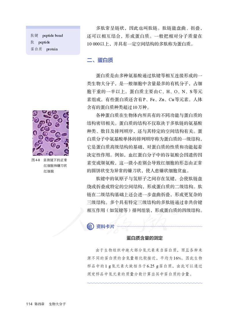 高中选修三化学（人教版）_教资初高中_教资面试2025教资面试备考资料合集_教资面试资料合集_3、教资面试资料包大全_45大圣中小幼面试资料包_高中_化学_高中化学电子课本