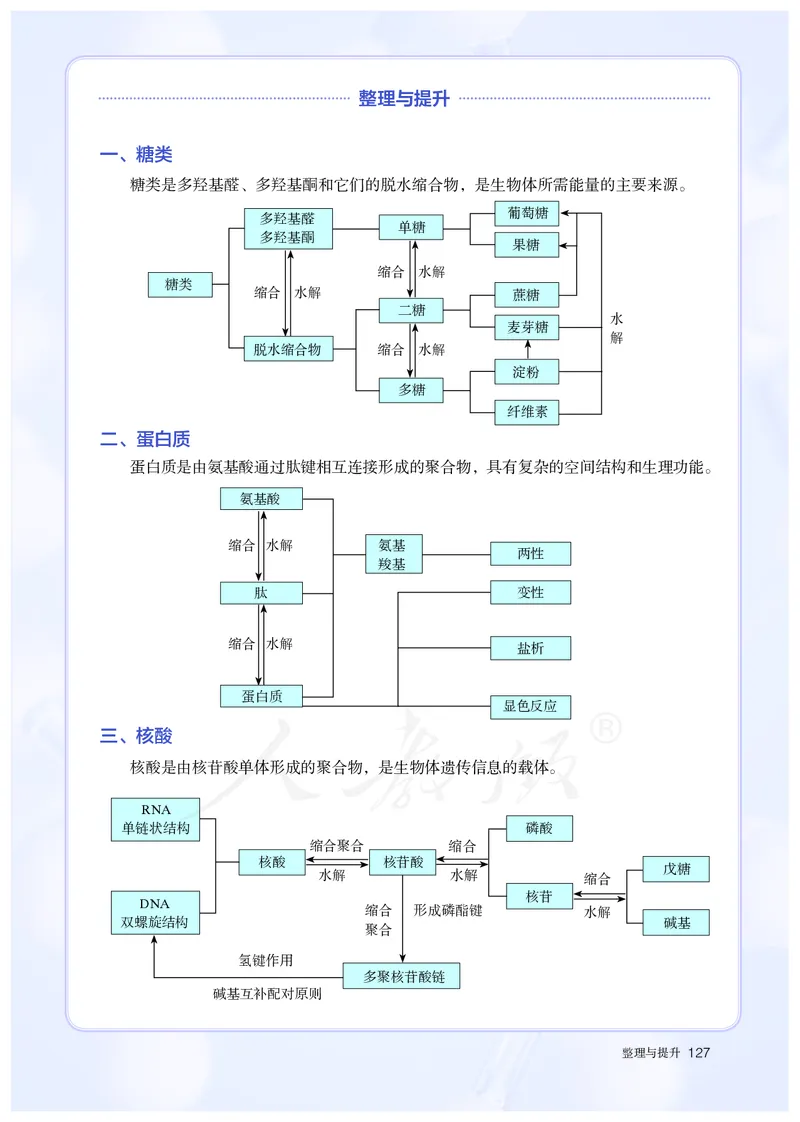 高中选修三化学（人教版）_教资初高中_教资面试2025教资面试备考资料合集_教资面试资料合集_3、教资面试资料包大全_45大圣中小幼面试资料包_高中_化学_高中化学电子课本
