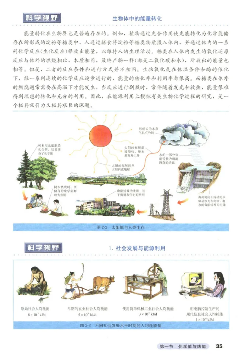 高中化学必修2(1)_教资初高中_教资面试2025教资面试备考资料合集_教资面试资料合集_2025教资面试资料_25上教资面试-小学资料包_20教材：全册_高中_高中化学