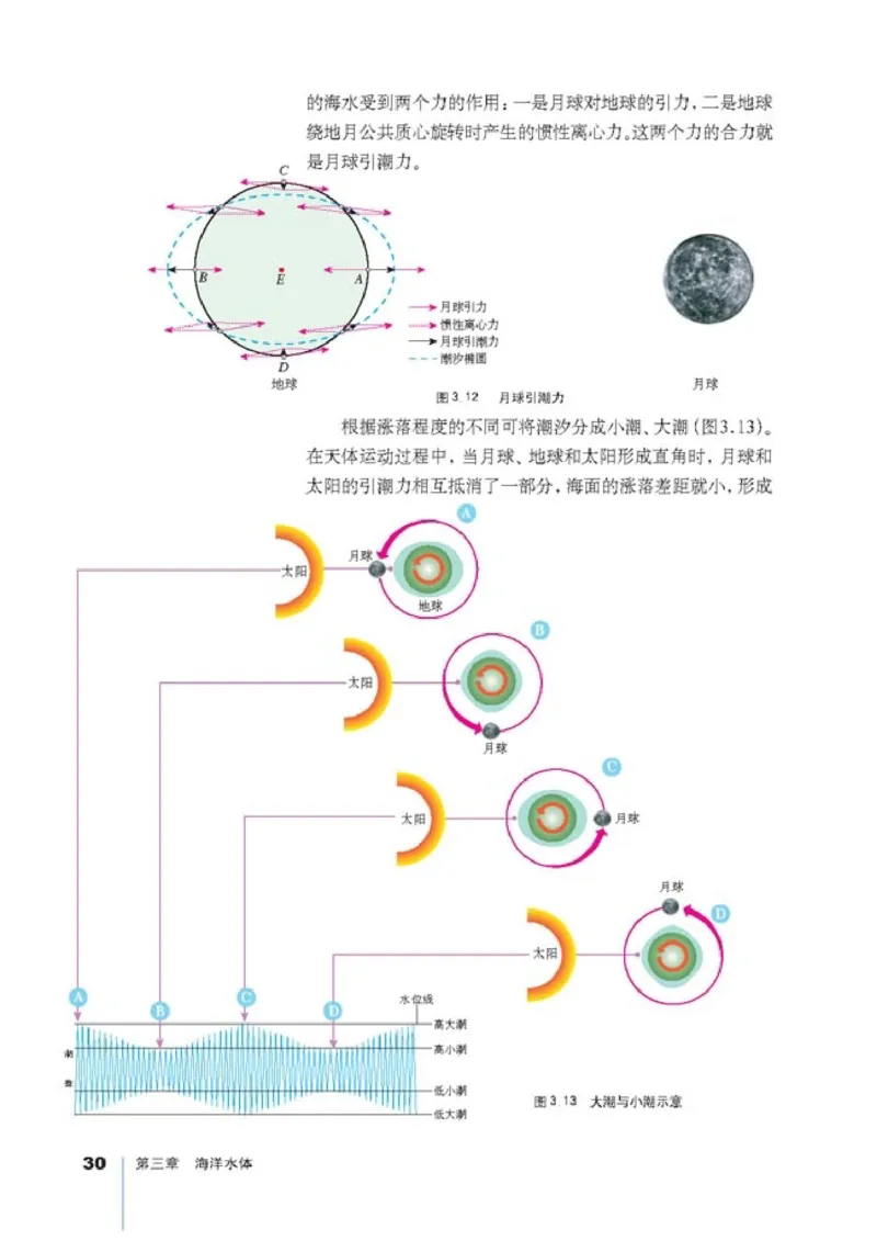 高中地理选修2海洋地理(1)_教资初高中_教资面试2025教资面试备考资料合集_教资面试资料合集_2025教资面试资料_25上教资面试-小学资料包_20教材：全册_高中_高中地理