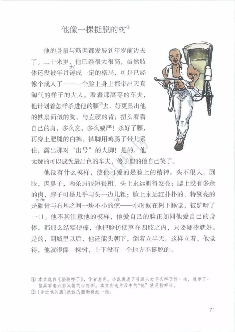 部编版语文5年级下(1)_教资初高中_教资面试2025教资面试备考资料合集_教资面试资料合集_2025教资面试资料_25上教资面试-小学资料包_20教材：全册_小学_小学语文