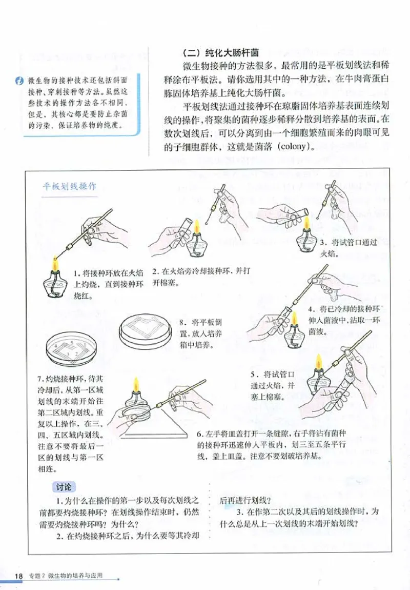 高中生物选修1生物技术实践(1)_教资初高中_教资面试2025教资面试备考资料合集_教资面试资料合集_2025教资面试资料_25上教资面试-小学资料包_20教材：全册_高中_高中生物