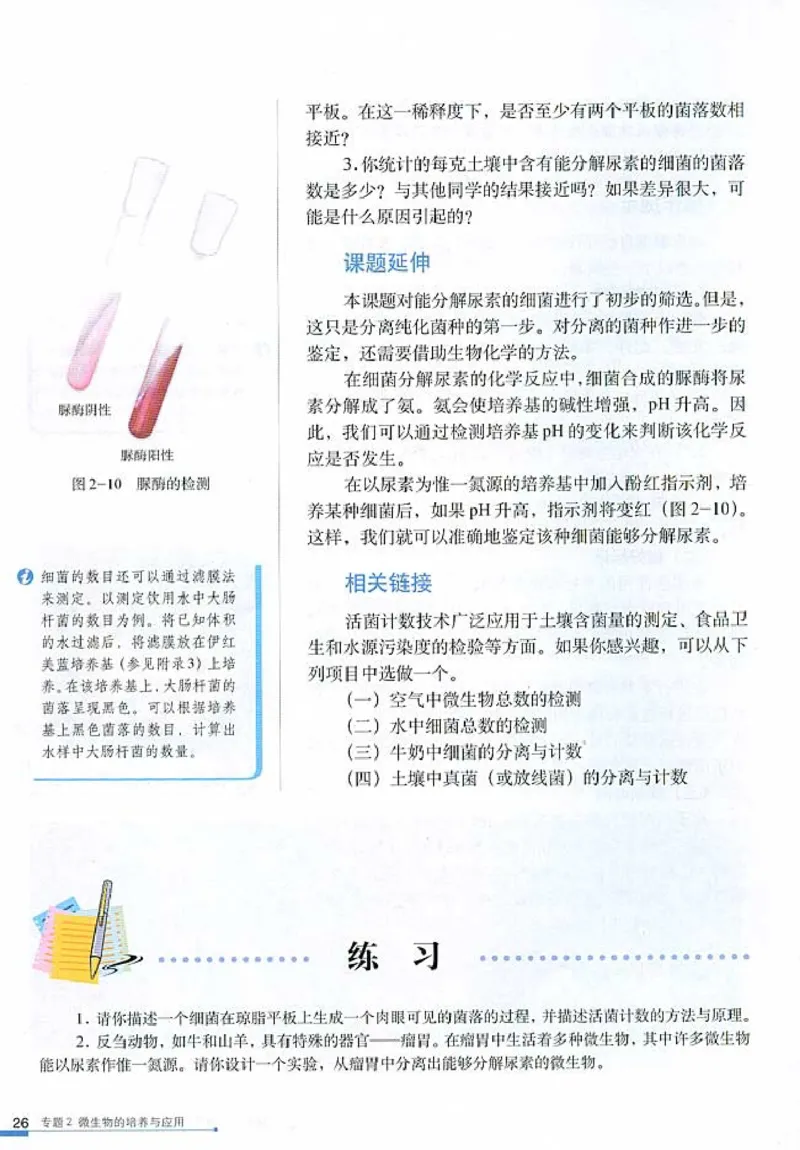 高中生物选修1生物技术实践(1)_教资初高中_教资面试2025教资面试备考资料合集_教资面试资料合集_2025教资面试资料_25上教资面试-小学资料包_20教材：全册_高中_高中生物