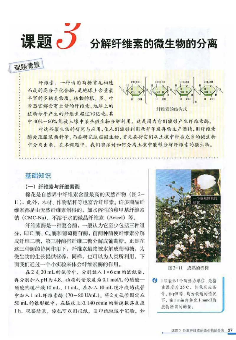 高中生物选修1生物技术实践(1)_教资初高中_教资面试2025教资面试备考资料合集_教资面试资料合集_2025教资面试资料_25上教资面试-小学资料包_20教材：全册_高中_高中生物