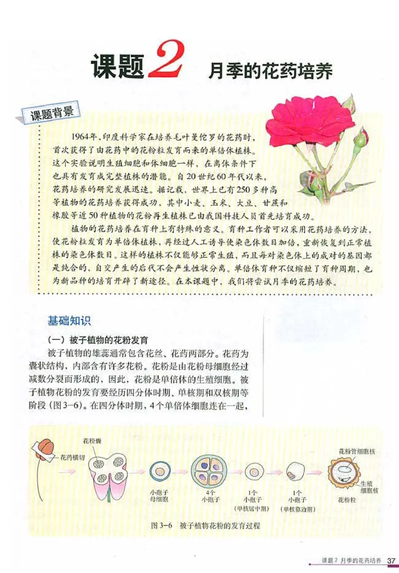 高中生物选修1生物技术实践(1)_教资初高中_教资面试2025教资面试备考资料合集_教资面试资料合集_2025教资面试资料_25上教资面试-小学资料包_20教材：全册_高中_高中生物