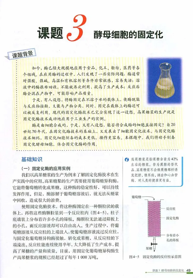 高中生物选修1生物技术实践(1)_教资初高中_教资面试2025教资面试备考资料合集_教资面试资料合集_2025教资面试资料_25上教资面试-小学资料包_20教材：全册_高中_高中生物