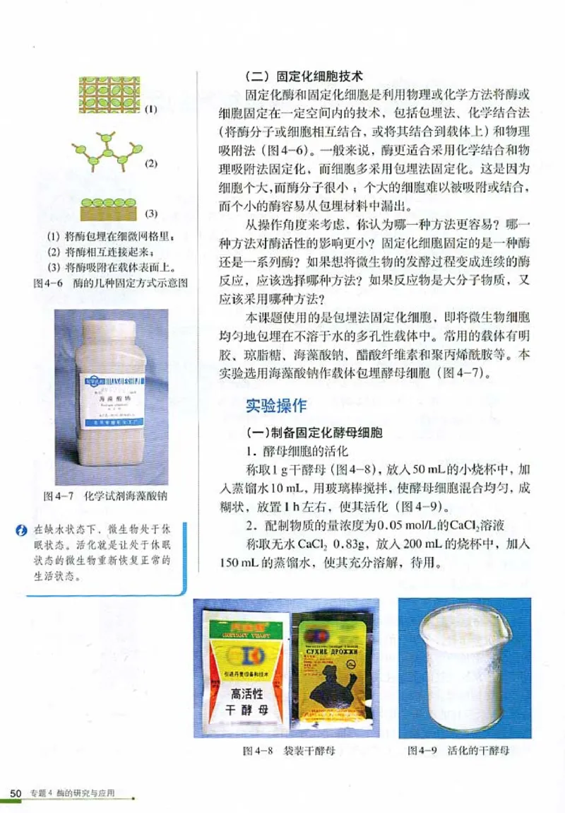 高中生物选修1生物技术实践(1)_教资初高中_教资面试2025教资面试备考资料合集_教资面试资料合集_2025教资面试资料_25上教资面试-小学资料包_20教材：全册_高中_高中生物