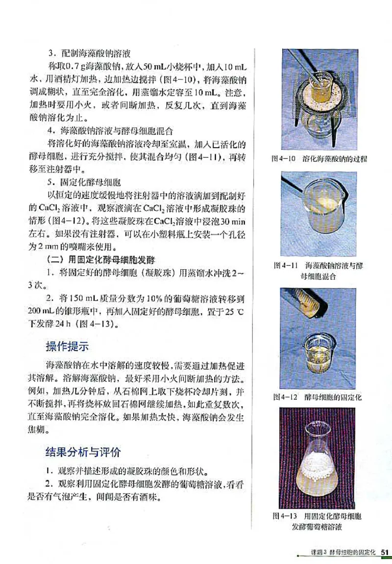 高中生物选修1生物技术实践(1)_教资初高中_教资面试2025教资面试备考资料合集_教资面试资料合集_2025教资面试资料_25上教资面试-小学资料包_20教材：全册_高中_高中生物