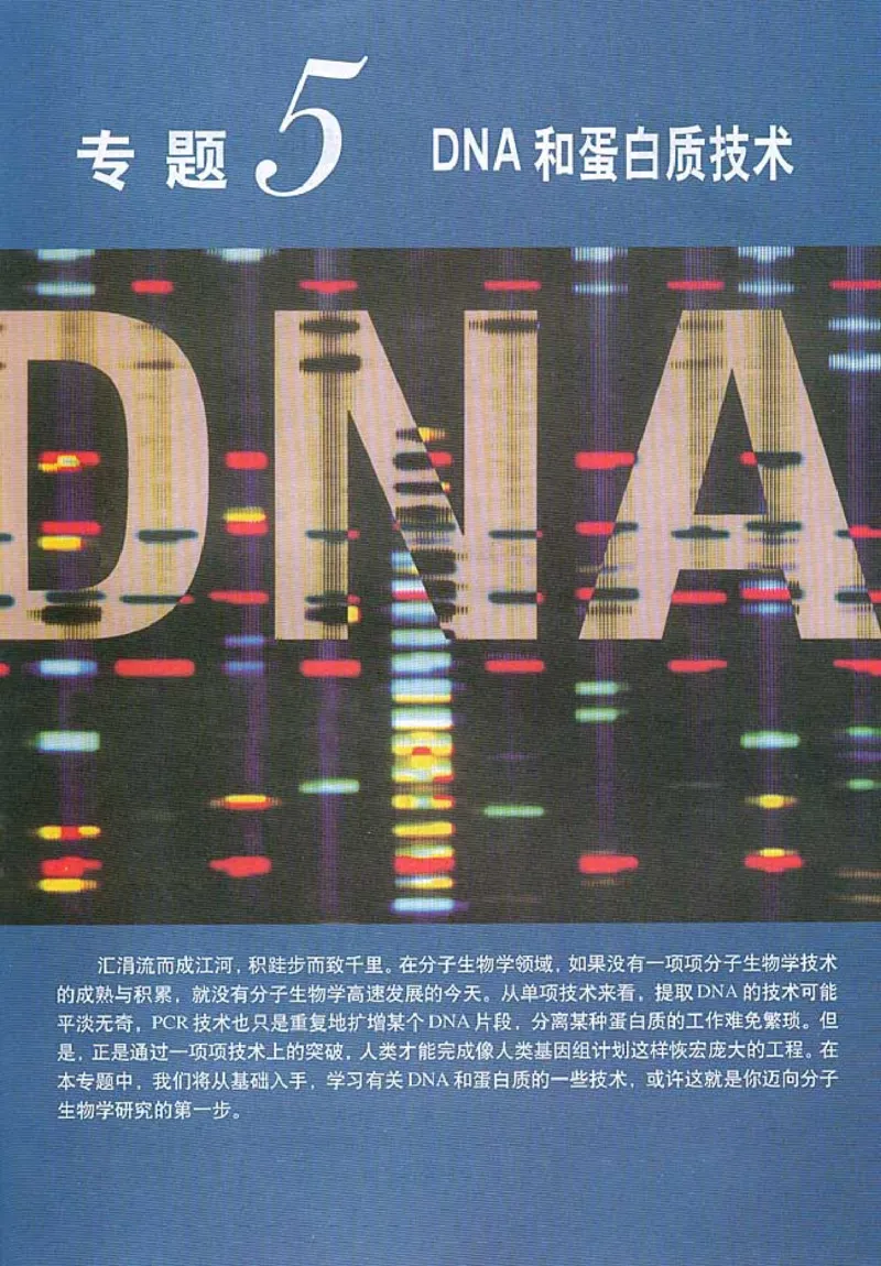 高中生物选修1生物技术实践(1)_教资初高中_教资面试2025教资面试备考资料合集_教资面试资料合集_2025教资面试资料_25上教资面试-小学资料包_20教材：全册_高中_高中生物