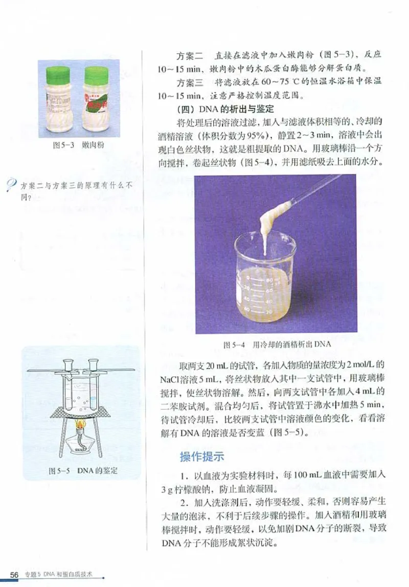 高中生物选修1生物技术实践(1)_教资初高中_教资面试2025教资面试备考资料合集_教资面试资料合集_2025教资面试资料_25上教资面试-小学资料包_20教材：全册_高中_高中生物