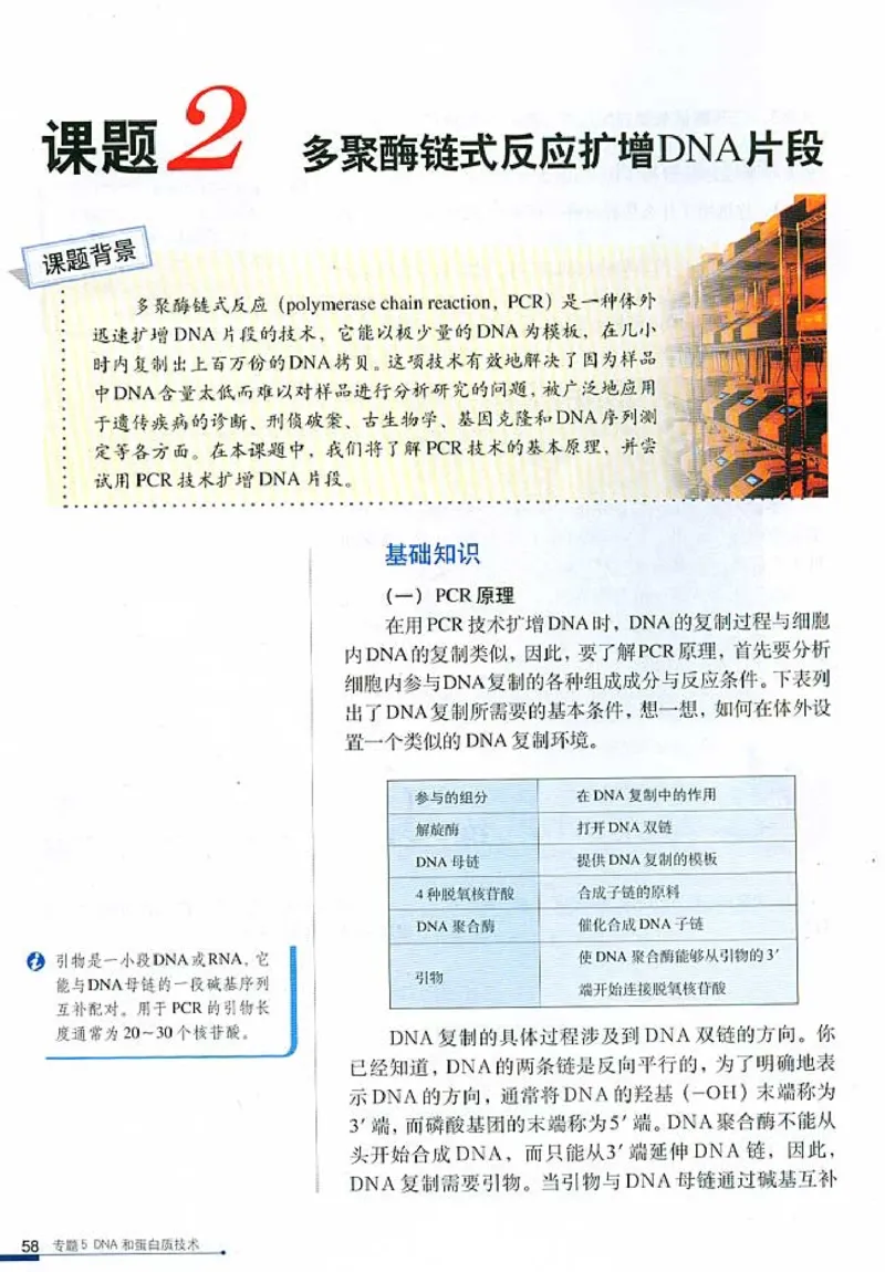 高中生物选修1生物技术实践(1)_教资初高中_教资面试2025教资面试备考资料合集_教资面试资料合集_2025教资面试资料_25上教资面试-小学资料包_20教材：全册_高中_高中生物