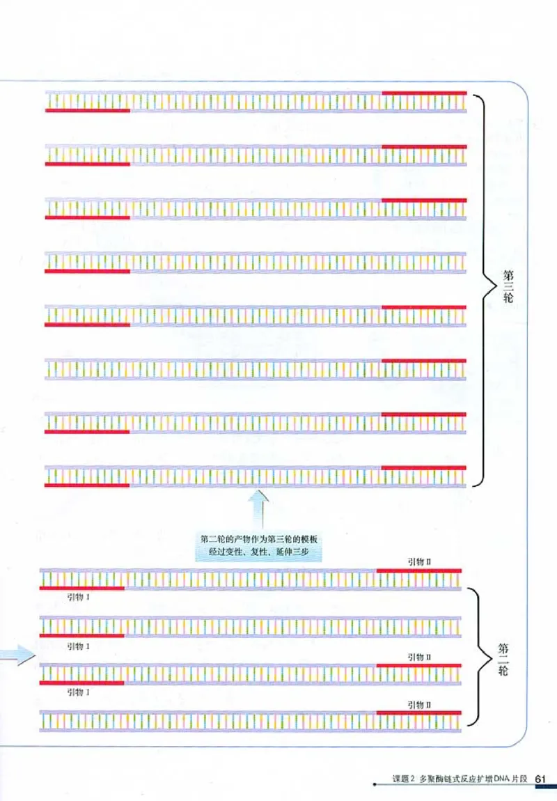 高中生物选修1生物技术实践(1)_教资初高中_教资面试2025教资面试备考资料合集_教资面试资料合集_2025教资面试资料_25上教资面试-小学资料包_20教材：全册_高中_高中生物