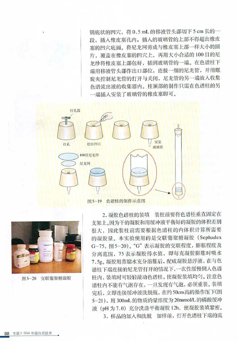 高中生物选修1生物技术实践(1)_教资初高中_教资面试2025教资面试备考资料合集_教资面试资料合集_2025教资面试资料_25上教资面试-小学资料包_20教材：全册_高中_高中生物