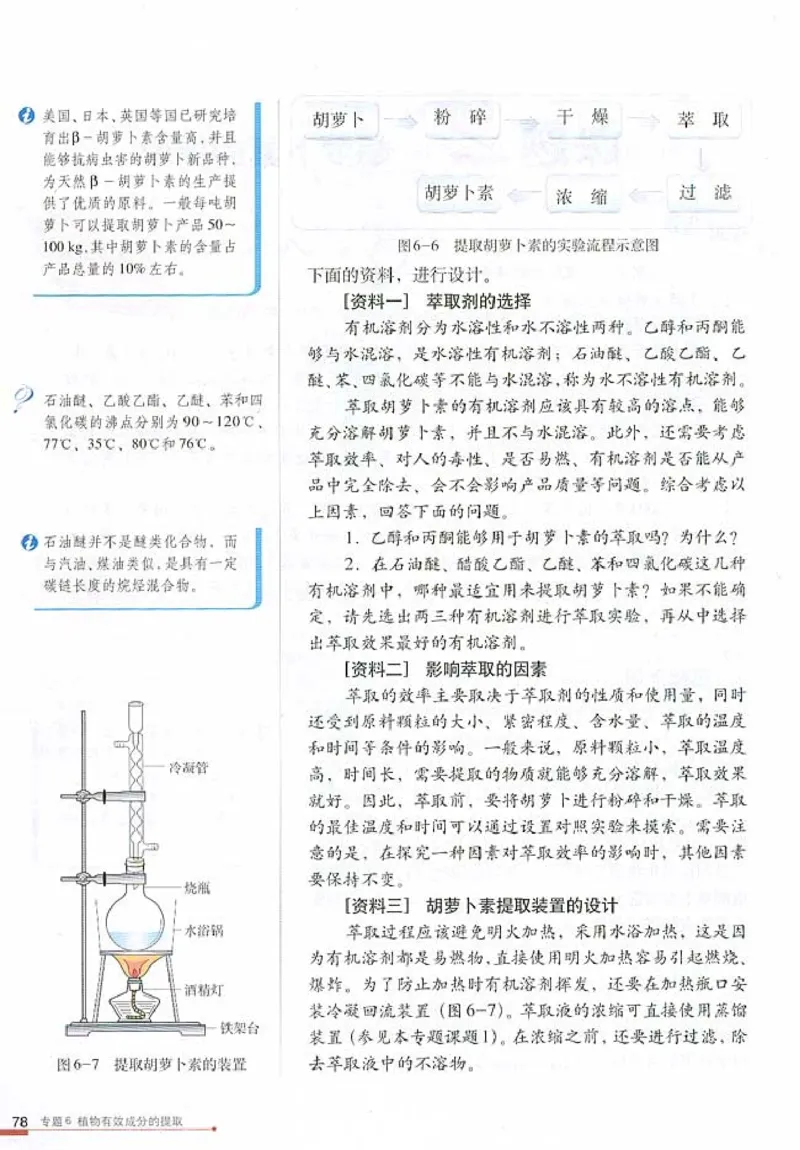 高中生物选修1生物技术实践(1)_教资初高中_教资面试2025教资面试备考资料合集_教资面试资料合集_2025教资面试资料_25上教资面试-小学资料包_20教材：全册_高中_高中生物