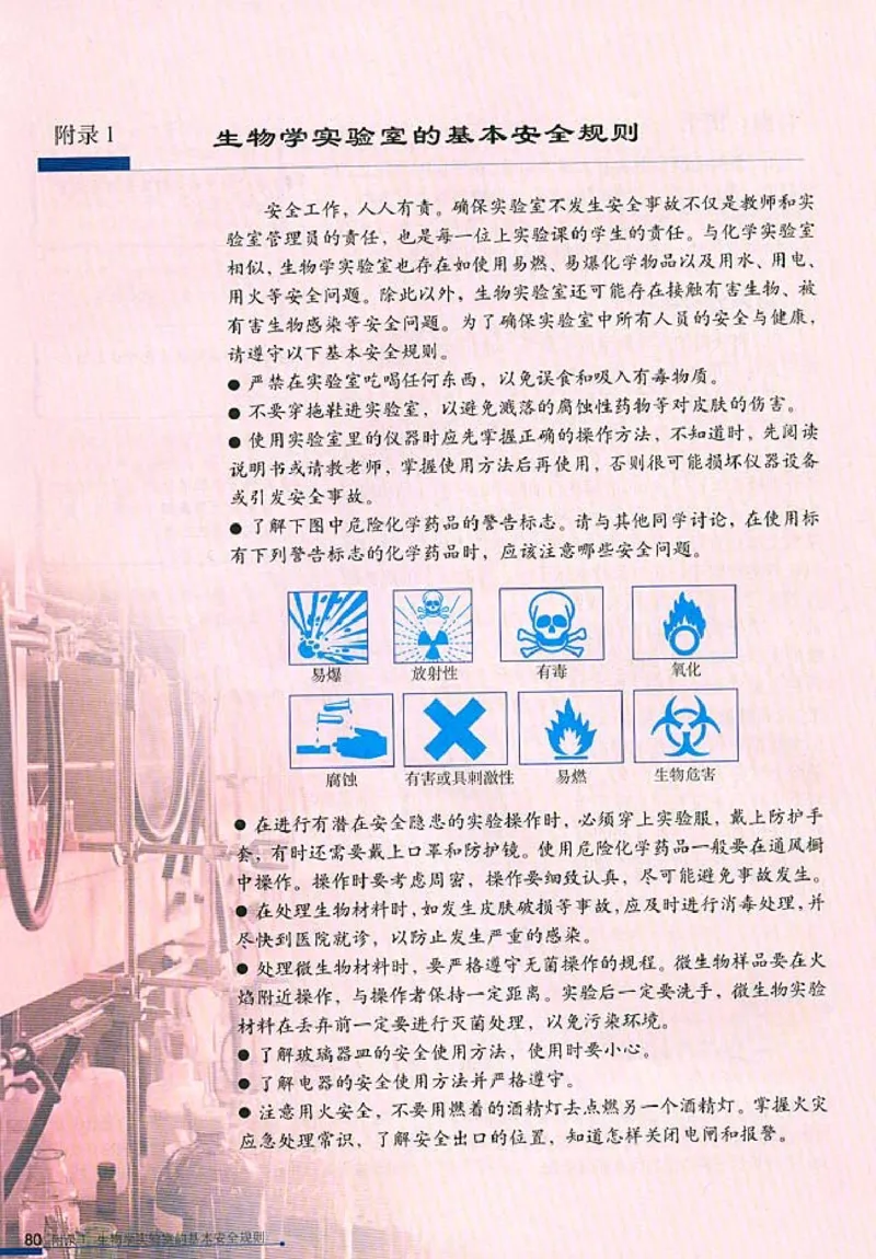 高中生物选修1生物技术实践(1)_教资初高中_教资面试2025教资面试备考资料合集_教资面试资料合集_2025教资面试资料_25上教资面试-小学资料包_20教材：全册_高中_高中生物