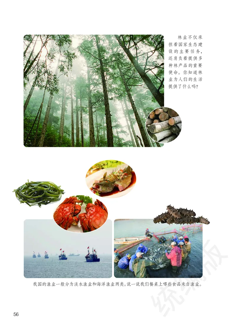 小学四年级下册道法_教资初高中_教资面试2025教资面试备考资料合集_教资面试资料合集_3、教资面试资料包大全_45大圣中小幼面试资料包_小学_道德与法治_小学道德与法治电子课本