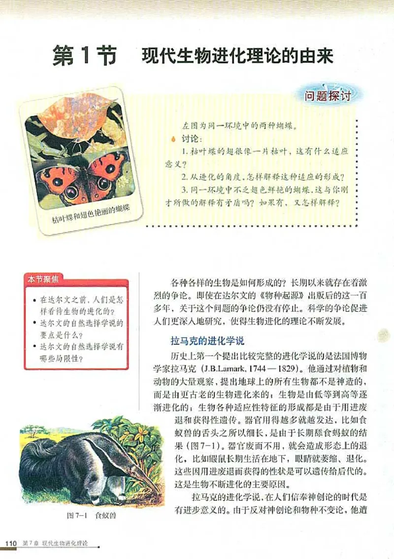 高中生物必修2遗传与进化(1)_教资初高中_教资面试2025教资面试备考资料合集_教资面试资料合集_2025教资面试资料_25上教资面试-小学资料包_20教材：全册_高中_高中生物