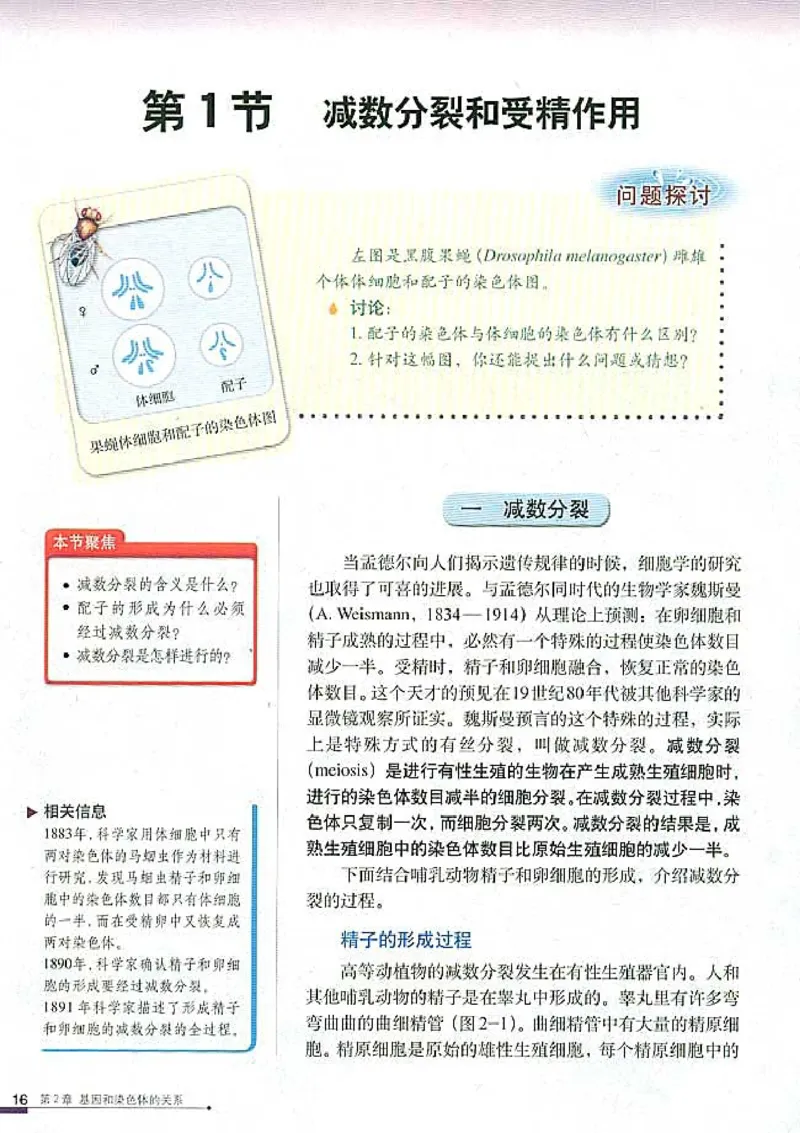 高中生物必修2遗传与进化(1)_教资初高中_教资面试2025教资面试备考资料合集_教资面试资料合集_2025教资面试资料_25上教资面试-小学资料包_20教材：全册_高中_高中生物