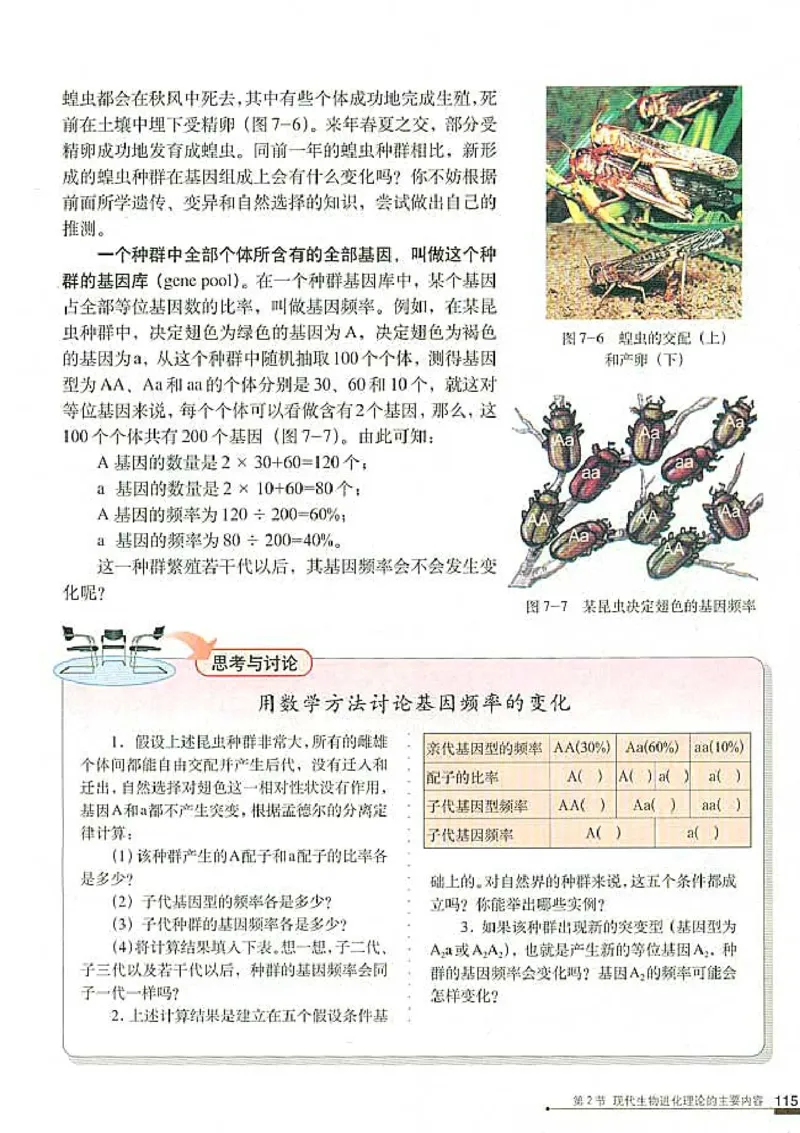 高中生物必修2遗传与进化(1)_教资初高中_教资面试2025教资面试备考资料合集_教资面试资料合集_2025教资面试资料_25上教资面试-小学资料包_20教材：全册_高中_高中生物