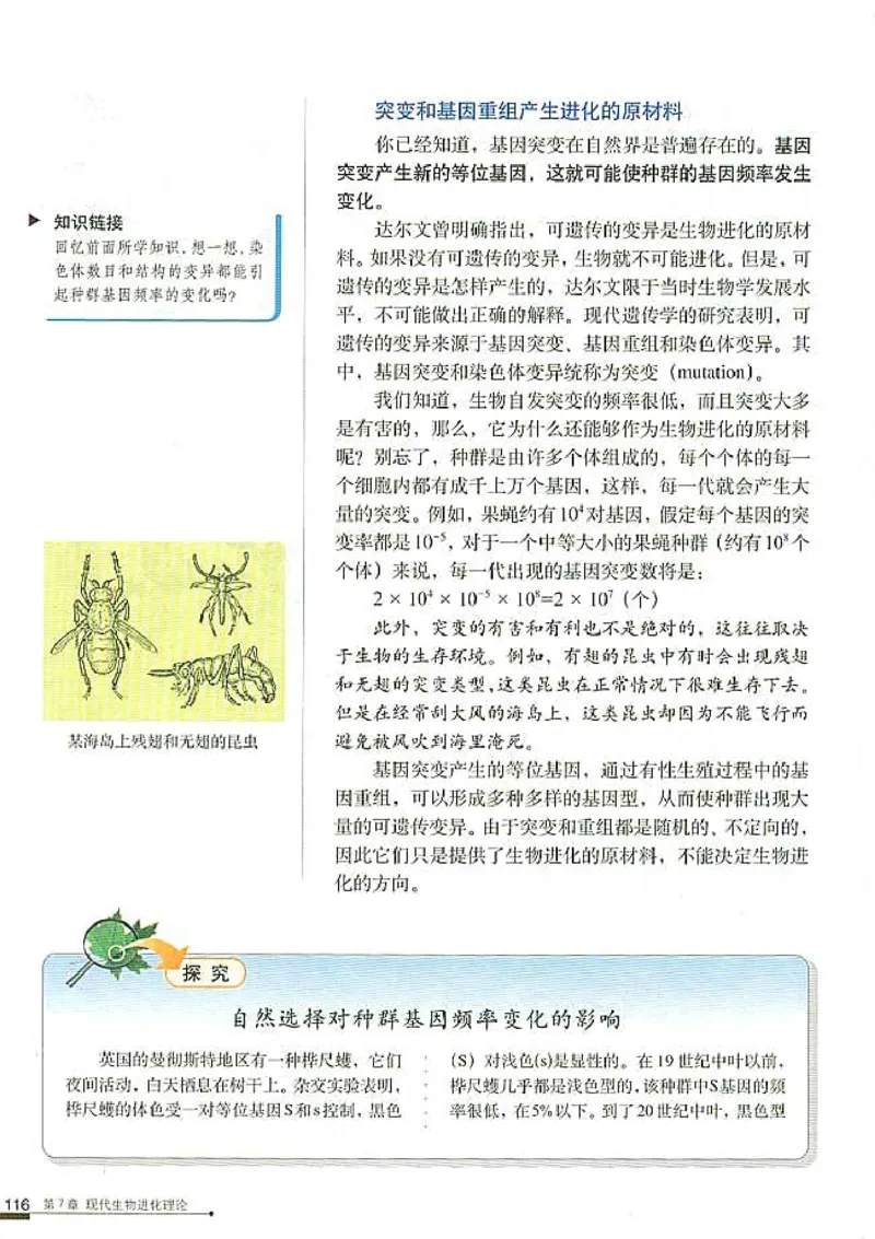 高中生物必修2遗传与进化(1)_教资初高中_教资面试2025教资面试备考资料合集_教资面试资料合集_2025教资面试资料_25上教资面试-小学资料包_20教材：全册_高中_高中生物