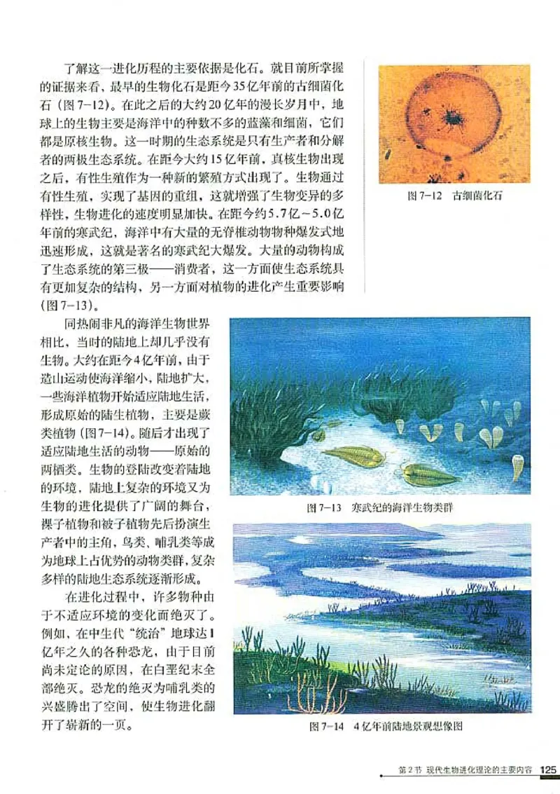 高中生物必修2遗传与进化(1)_教资初高中_教资面试2025教资面试备考资料合集_教资面试资料合集_2025教资面试资料_25上教资面试-小学资料包_20教材：全册_高中_高中生物