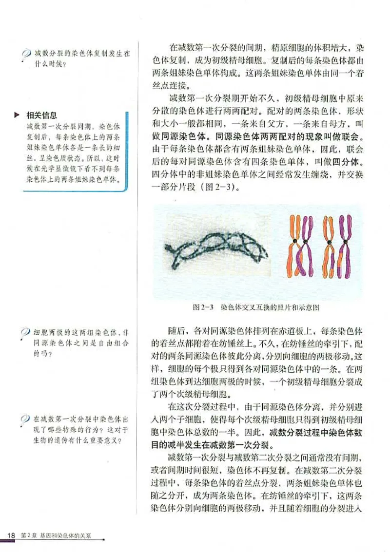 高中生物必修2遗传与进化(1)_教资初高中_教资面试2025教资面试备考资料合集_教资面试资料合集_2025教资面试资料_25上教资面试-小学资料包_20教材：全册_高中_高中生物