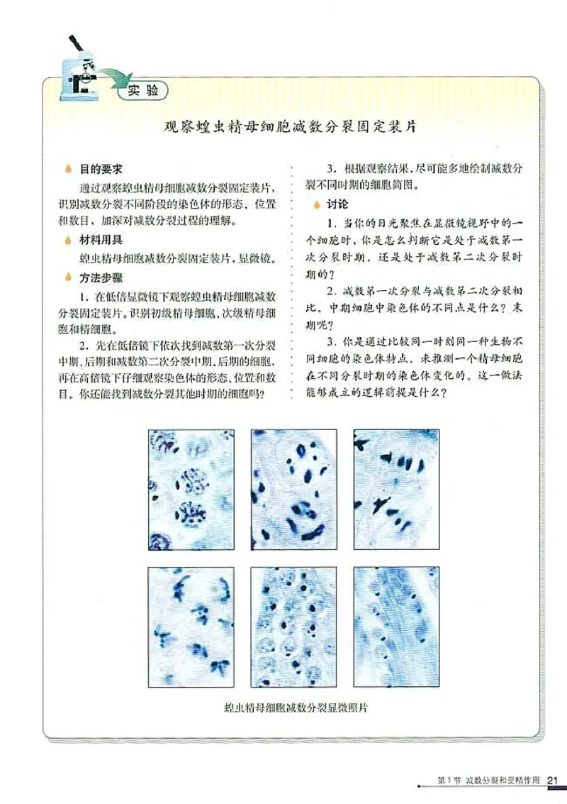 高中生物必修2遗传与进化(1)_教资初高中_教资面试2025教资面试备考资料合集_教资面试资料合集_2025教资面试资料_25上教资面试-小学资料包_20教材：全册_高中_高中生物