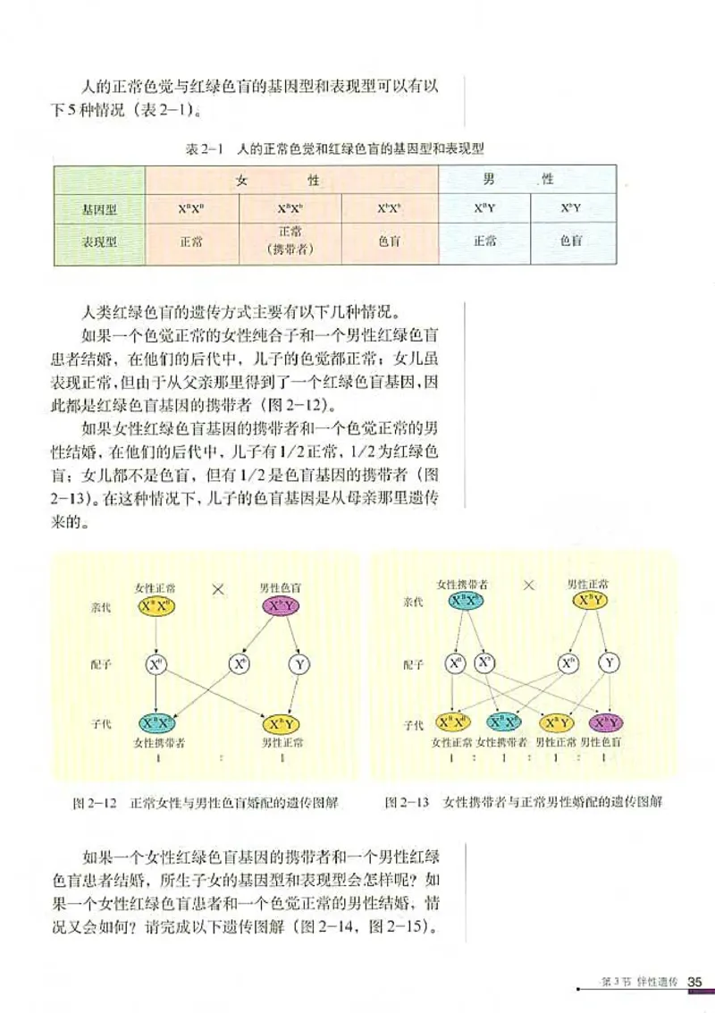 高中生物必修2遗传与进化(1)_教资初高中_教资面试2025教资面试备考资料合集_教资面试资料合集_2025教资面试资料_25上教资面试-小学资料包_20教材：全册_高中_高中生物