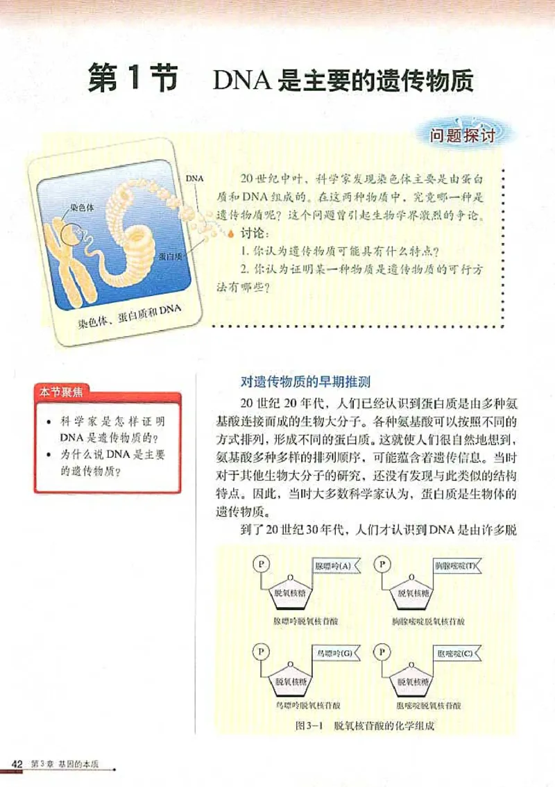 高中生物必修2遗传与进化(1)_教资初高中_教资面试2025教资面试备考资料合集_教资面试资料合集_2025教资面试资料_25上教资面试-小学资料包_20教材：全册_高中_高中生物