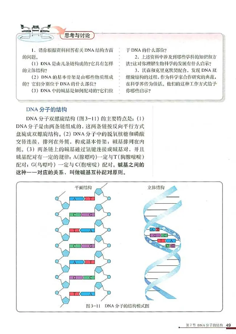 高中生物必修2遗传与进化(1)_教资初高中_教资面试2025教资面试备考资料合集_教资面试资料合集_2025教资面试资料_25上教资面试-小学资料包_20教材：全册_高中_高中生物