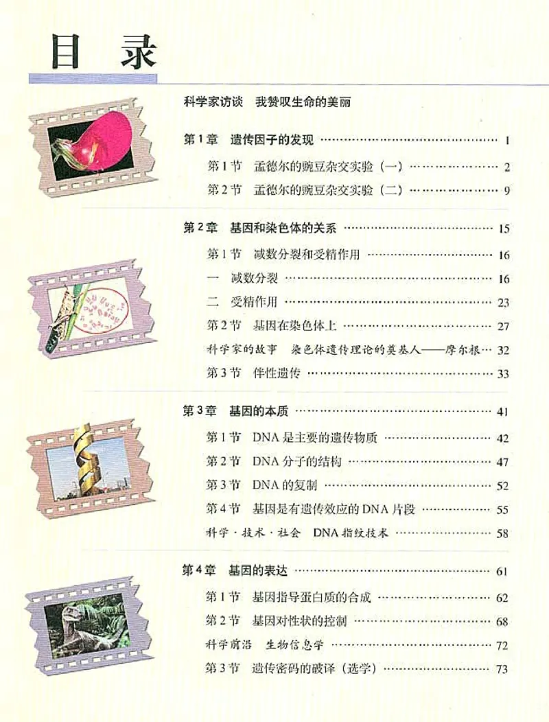 高中生物必修2遗传与进化(1)_教资初高中_教资面试2025教资面试备考资料合集_教资面试资料合集_2025教资面试资料_25上教资面试-小学资料包_20教材：全册_高中_高中生物