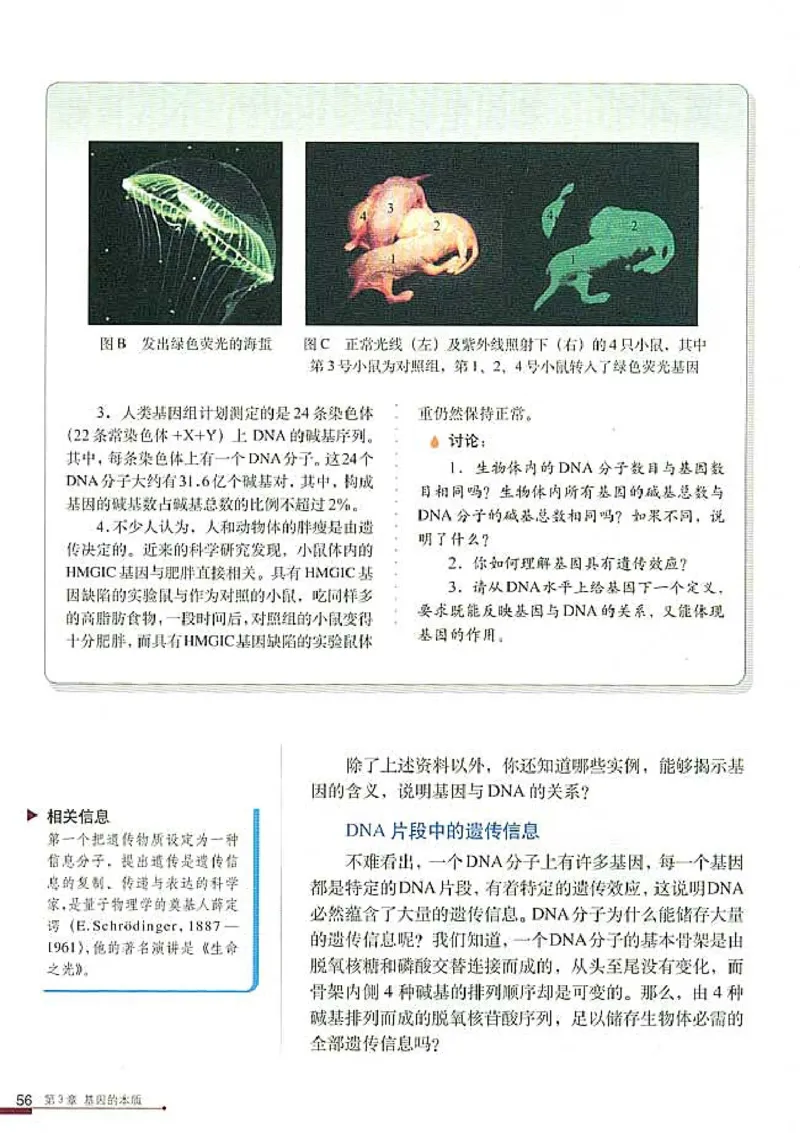 高中生物必修2遗传与进化(1)_教资初高中_教资面试2025教资面试备考资料合集_教资面试资料合集_2025教资面试资料_25上教资面试-小学资料包_20教材：全册_高中_高中生物