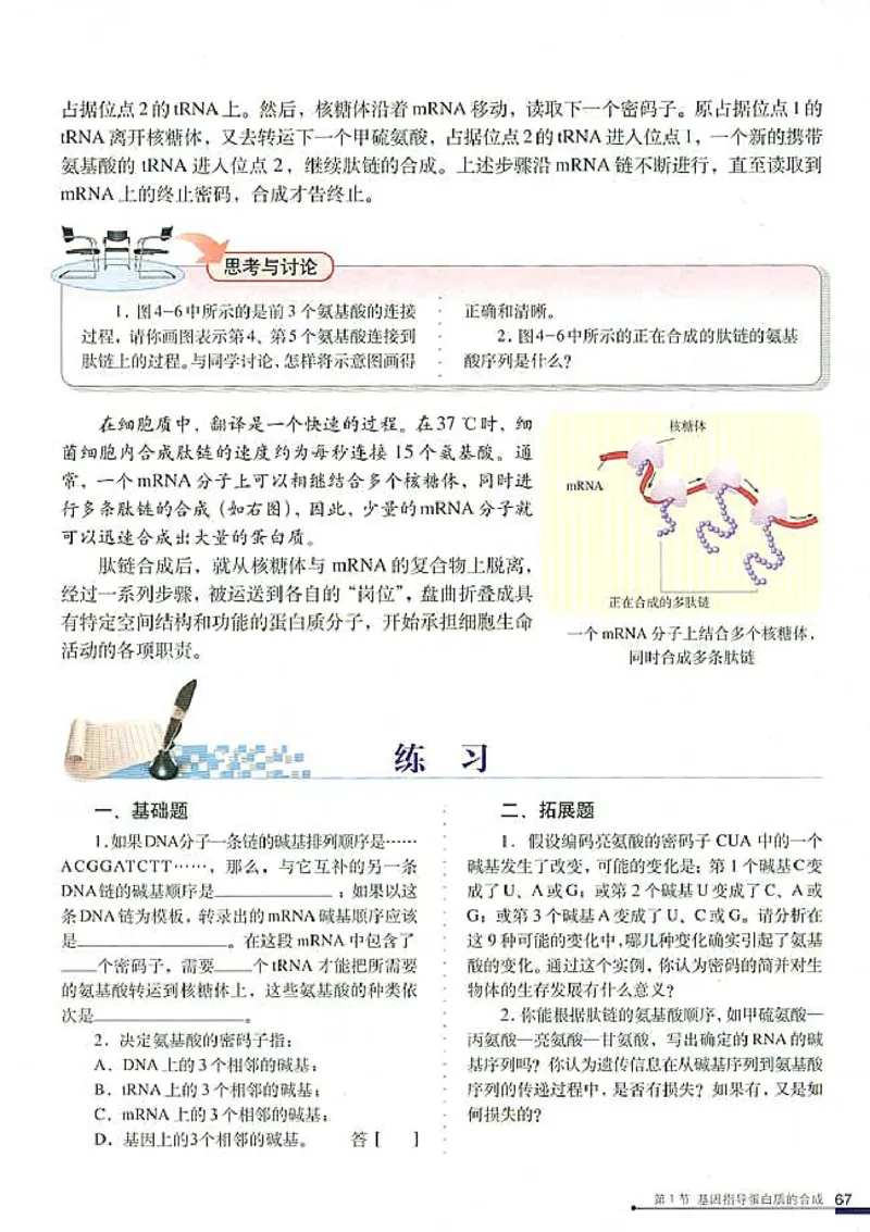 高中生物必修2遗传与进化(1)_教资初高中_教资面试2025教资面试备考资料合集_教资面试资料合集_2025教资面试资料_25上教资面试-小学资料包_20教材：全册_高中_高中生物