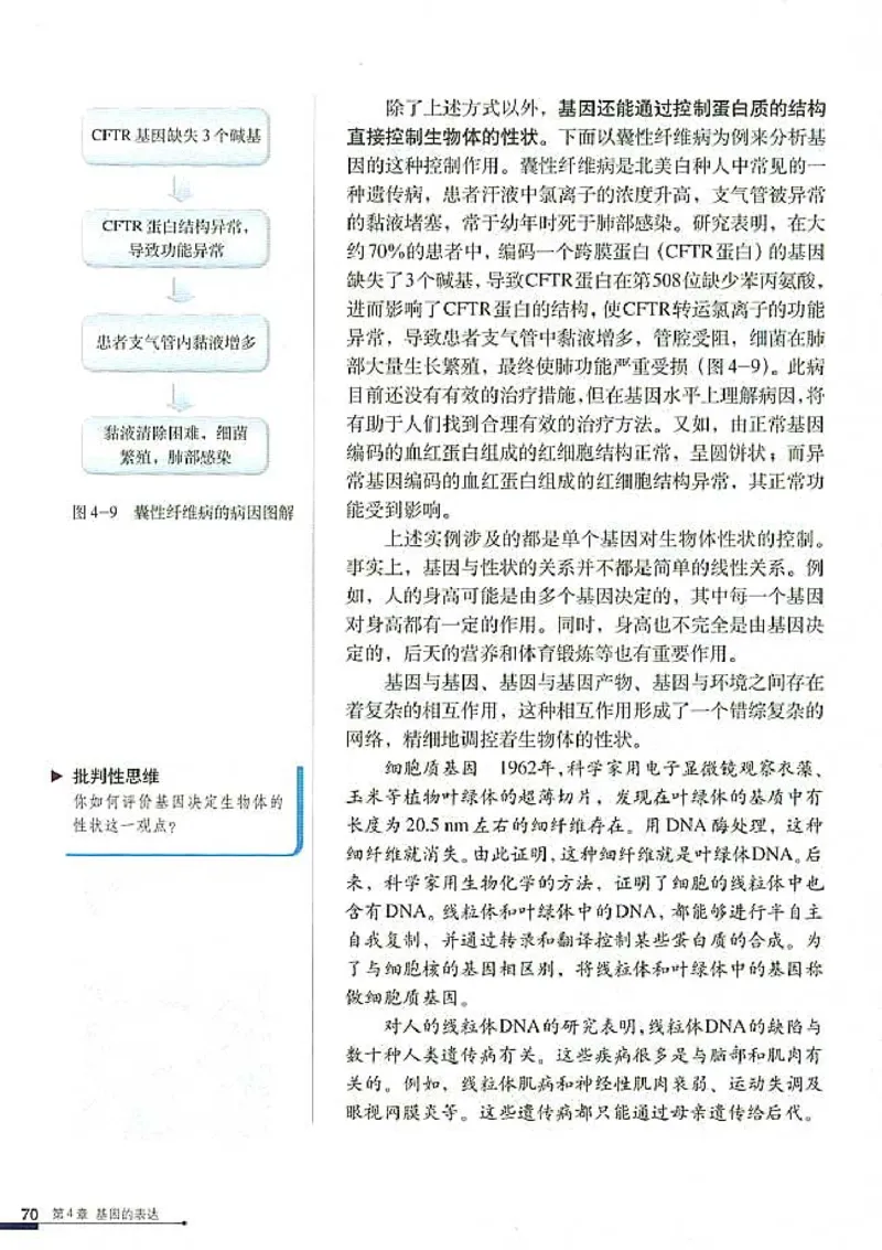高中生物必修2遗传与进化(1)_教资初高中_教资面试2025教资面试备考资料合集_教资面试资料合集_2025教资面试资料_25上教资面试-小学资料包_20教材：全册_高中_高中生物