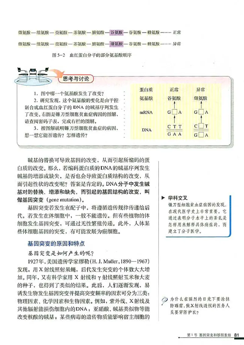 高中生物必修2遗传与进化(1)_教资初高中_教资面试2025教资面试备考资料合集_教资面试资料合集_2025教资面试资料_25上教资面试-小学资料包_20教材：全册_高中_高中生物