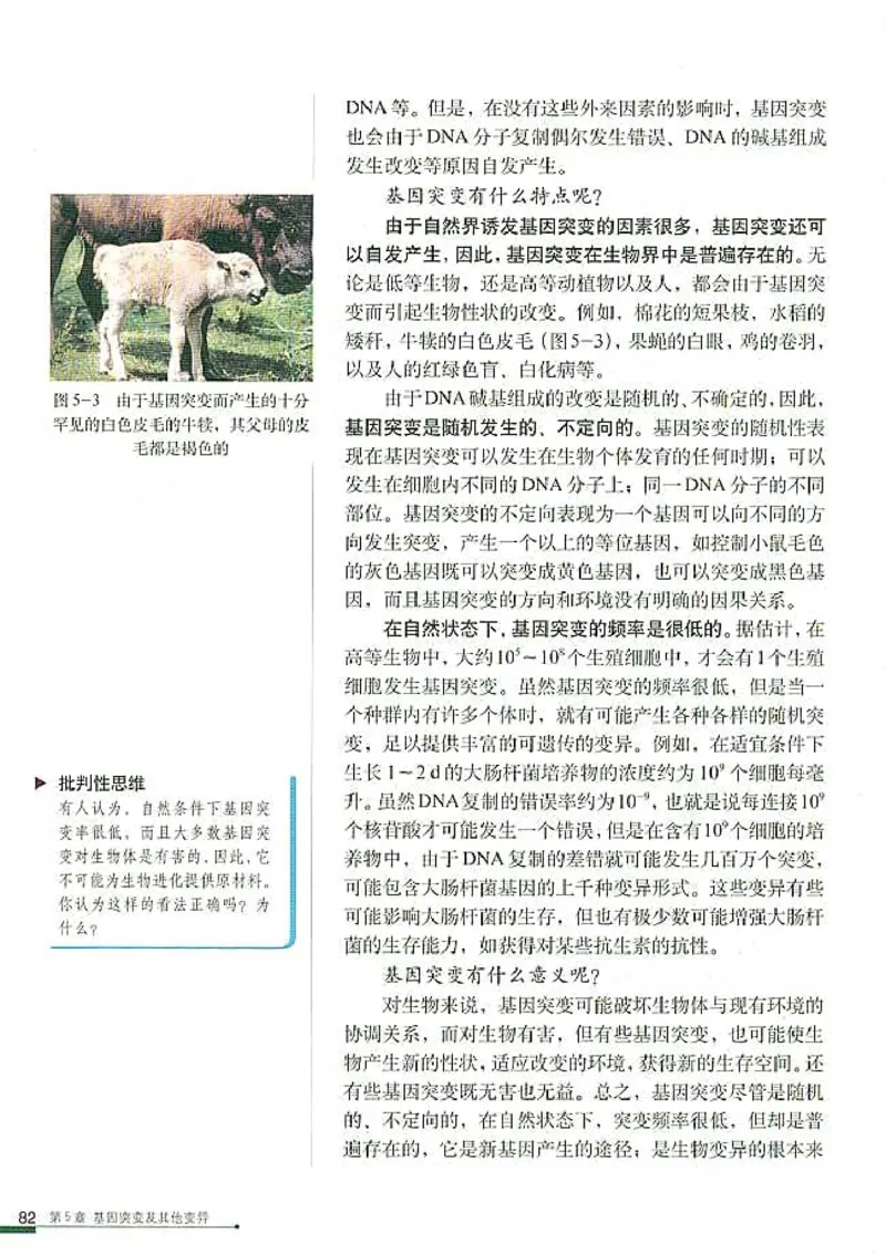 高中生物必修2遗传与进化(1)_教资初高中_教资面试2025教资面试备考资料合集_教资面试资料合集_2025教资面试资料_25上教资面试-小学资料包_20教材：全册_高中_高中生物